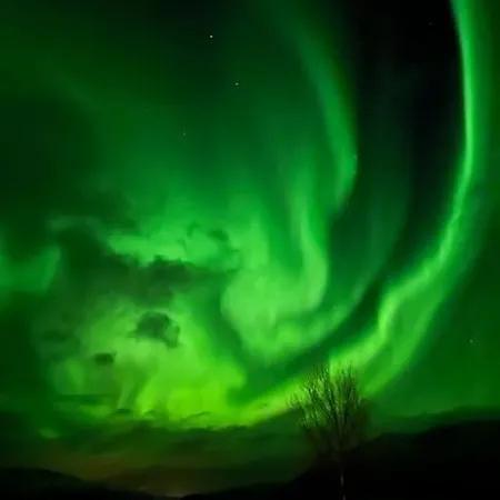 Frozen Arctic Waterfall Tromsø